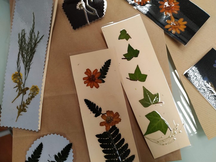 008-taller-de-flores-prensadas