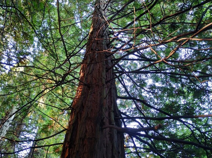 003-Excursión a Cantabria-(05-10-2019)