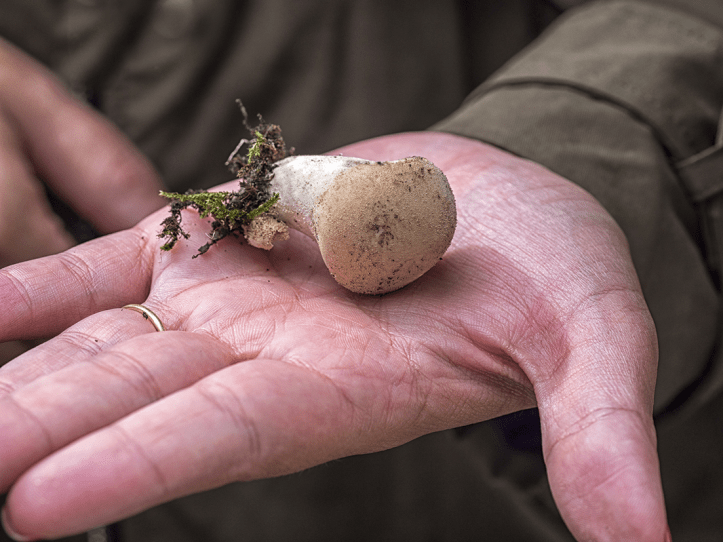 004-Jornada-frmativa-micologica-JBA-(27-09-2019)