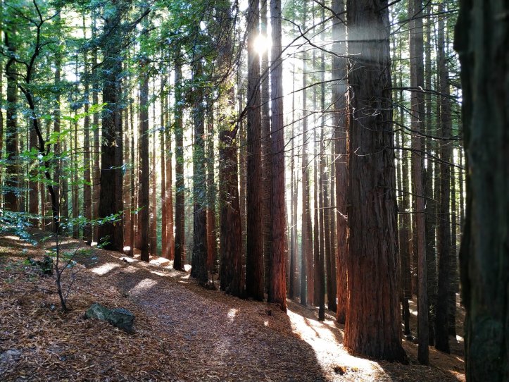 008-Excursión a Cantabria-(05-10-2019)