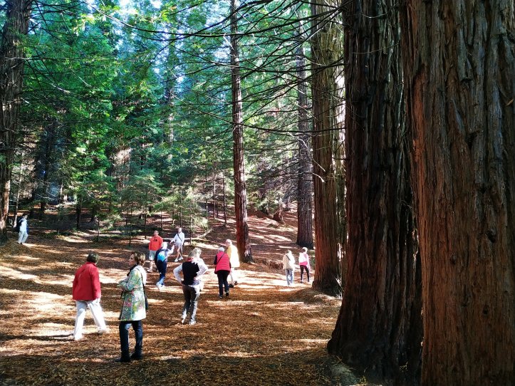 009-Excursión a Cantabria-(05-10-2019)