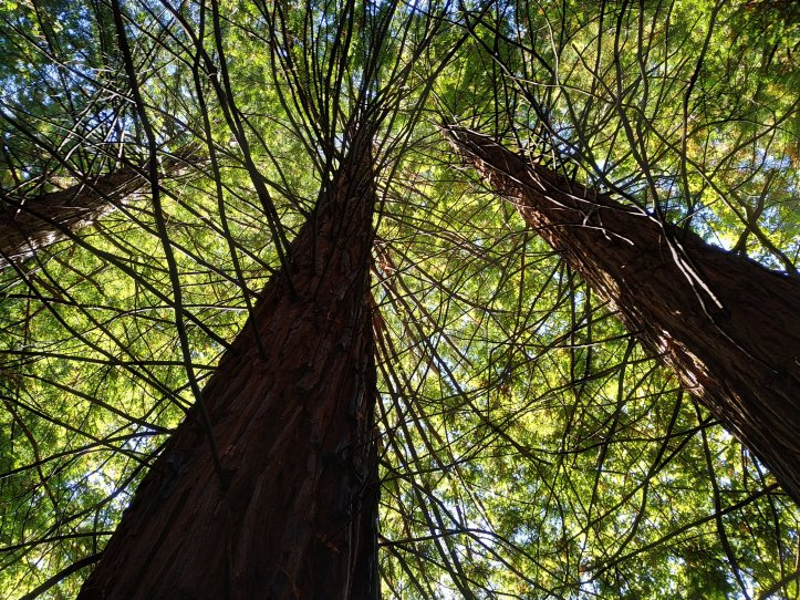 010-Excursión a Cantabria-(05-10-2019)