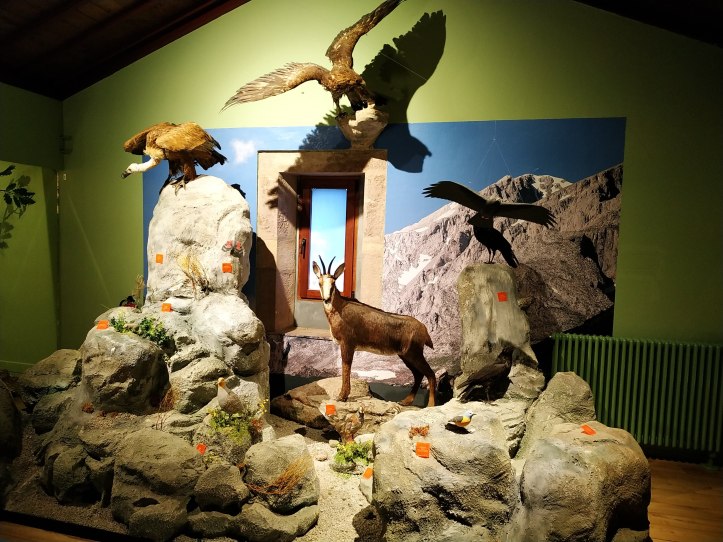 012-Excursión a Cantabria-(05-10-2019)