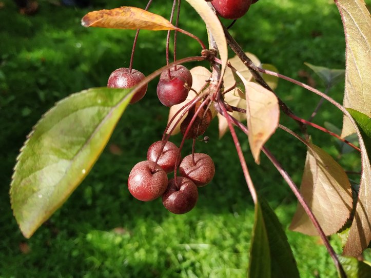 019-Excursión a Cantabria-(05-10-2019)