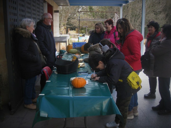 Árbol de los deseos 2019