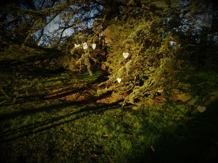 Árbol de los deseos 2019