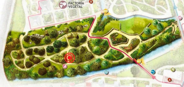 0 - Polystichum setiferum