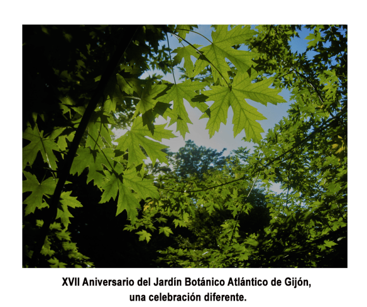 XVII-Aniversario-del-Jardin-Botanico